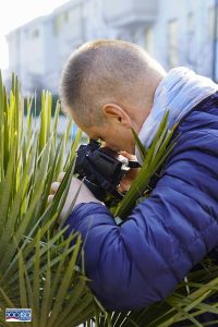 Socio del circolo fotografico 200ISO che fotografa una palma