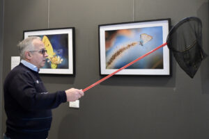Nicola Zanella, retino, farfalle, foto di farfalle