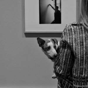 donna con cane in braccio, Le Stanze della Fotografia, Venezia